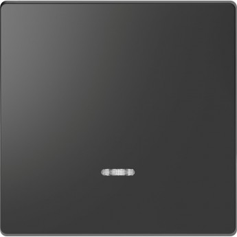 Клавиша одинарная MERTEN D-LIFE с линзой для LED модуля, АНТРАЦИТ Клавиша одинарная MERTEN D-LIFE с линзой для LED модуля, АНТРАЦИТ